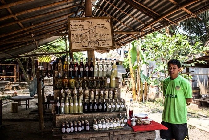 Lao-lao rice whisky being distilled in Ban Baw village